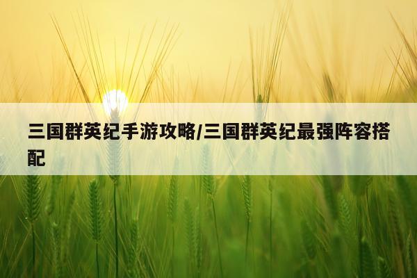 三国群英纪手游攻略/三国群英纪最强阵容搭配