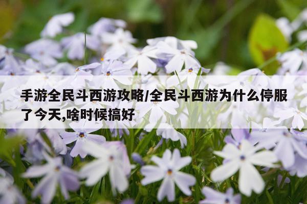 手游全民斗西游攻略/全民斗西游为什么停服了今天,啥时候搞好