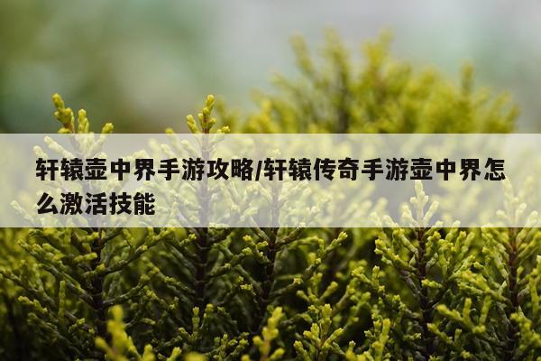 轩辕壶中界手游攻略/轩辕传奇手游壶中界怎么激活技能