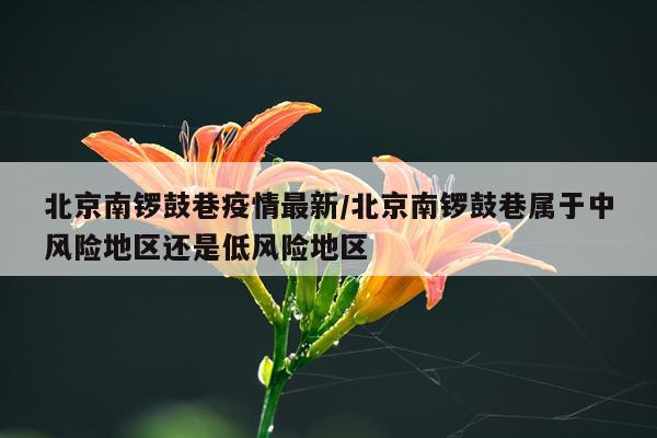 北京南锣鼓巷疫情最新/北京南锣鼓巷属于中风险地区还是低风险地区