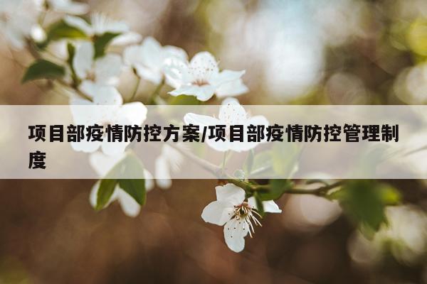 项目部疫情防控方案/项目部疫情防控管理制度