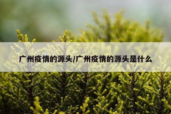 广州疫情的源头/广州疫情的源头是什么