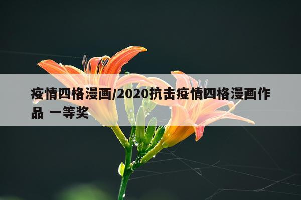 疫情四格漫画/2020抗击疫情四格漫画作品 一等奖