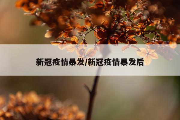 新冠疫情暴发/新冠疫情暴发后