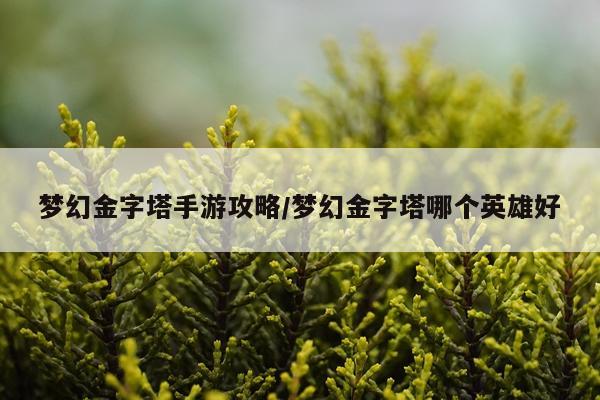 梦幻金字塔手游攻略/梦幻金字塔哪个英雄好