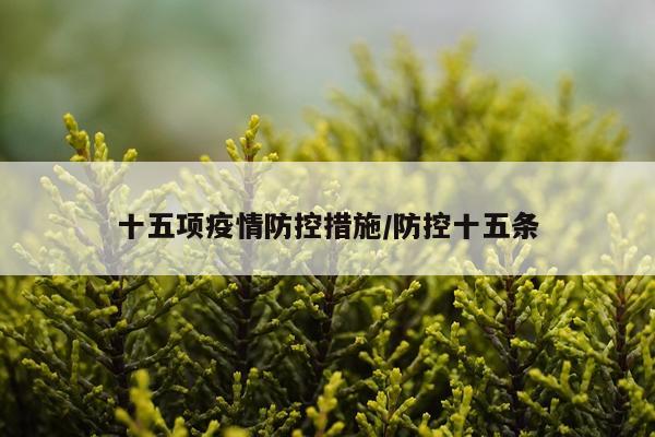 十五项疫情防控措施/防控十五条
