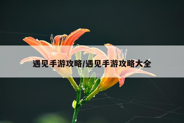 遇见手游攻略/遇见手游攻略大全