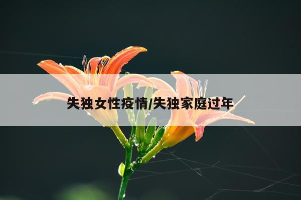 失独女性疫情/失独家庭过年