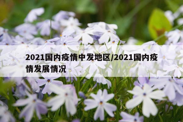 2021国内疫情中发地区/2021国内疫情发展情况