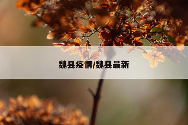 魏县疫情/魏县最新
