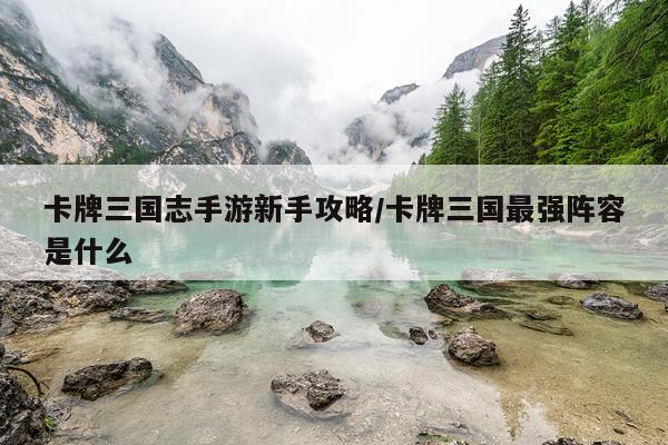 卡牌三国志手游新手攻略/卡牌三国最强阵容是什么