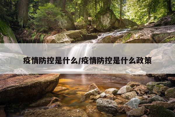 疫情防控是什么/疫情防控是什么政策