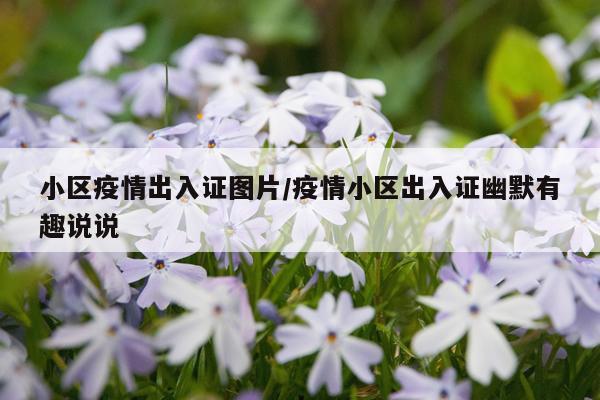小区疫情出入证图片/疫情小区出入证幽默有趣说说