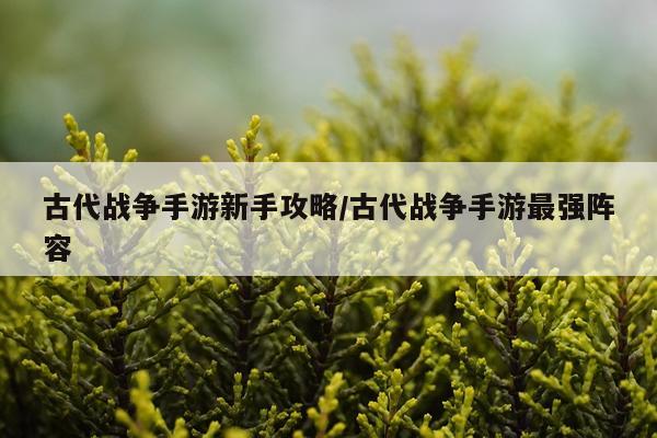 古代战争手游新手攻略/古代战争手游最强阵容