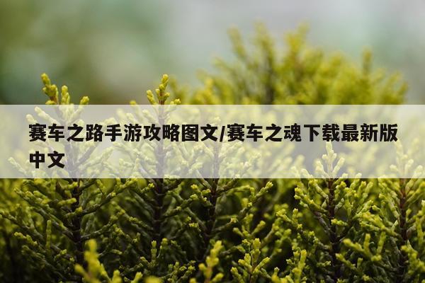 赛车之路手游攻略图文/赛车之魂下载最新版中文