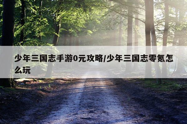 少年三国志手游0元攻略/少年三国志零氪怎么玩