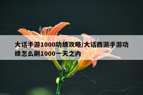 大话手游1000功绩攻略/大话西游手游功绩怎么刷1000一天之内
