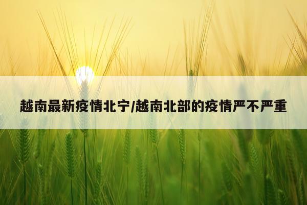 越南最新疫情北宁/越南北部的疫情严不严重