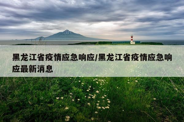 黑龙江省疫情应急响应/黑龙江省疫情应急响应最新消息