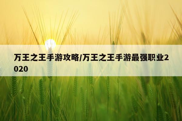 万王之王手游攻略/万王之王手游最强职业2020