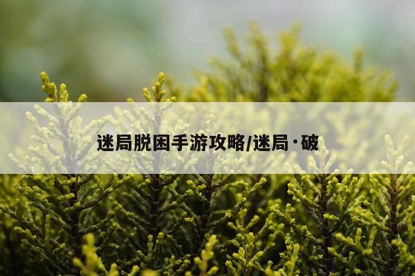 迷局脱困手游攻略/迷局·破