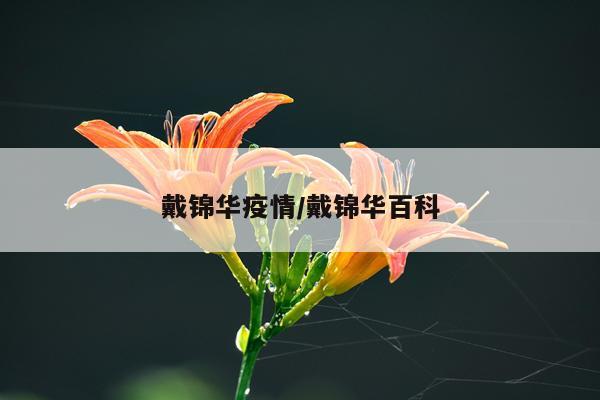 戴锦华疫情/戴锦华百科