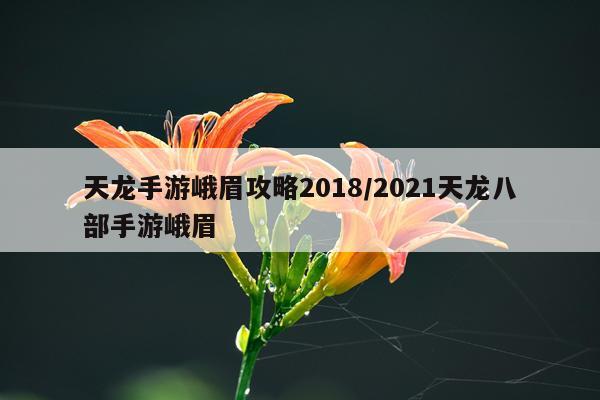 天龙手游峨眉攻略2018/2021天龙八部手游峨眉