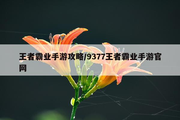 王者霸业手游攻略/9377王者霸业手游官网