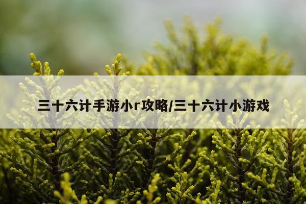 三十六计手游小r攻略/三十六计小游戏