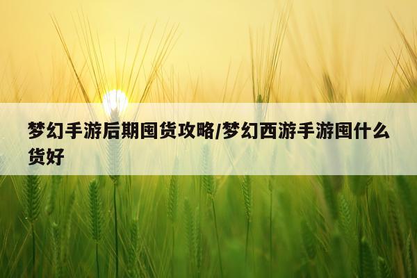 梦幻手游后期囤货攻略/梦幻西游手游囤什么货好