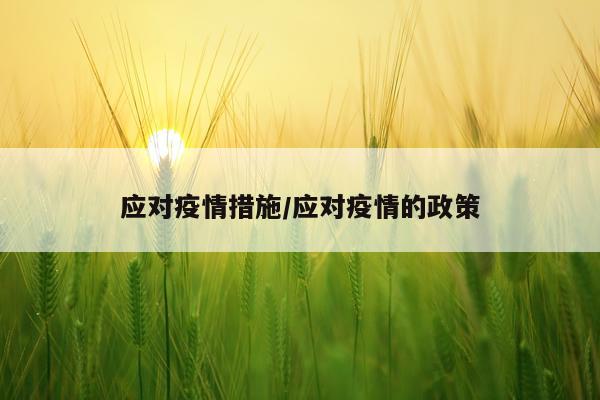 应对疫情措施/应对疫情的政策
