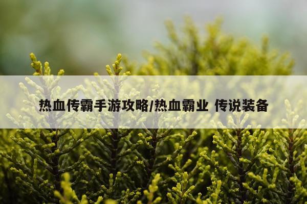 热血传霸手游攻略/热血霸业 传说装备