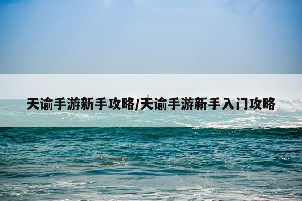 天谕手游新手攻略/天谕手游新手入门攻略