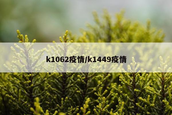 k1062疫情/k1449疫情