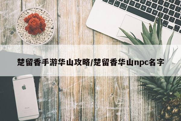 楚留香手游华山攻略/楚留香华山npc名字