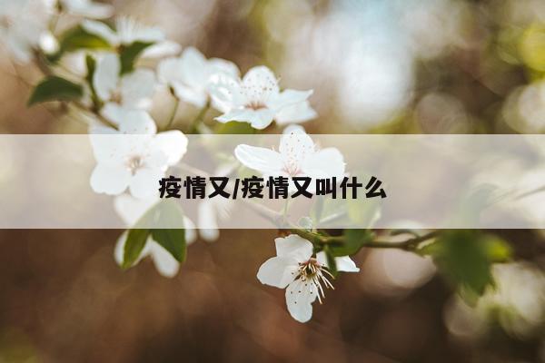 疫情又/疫情又叫什么
