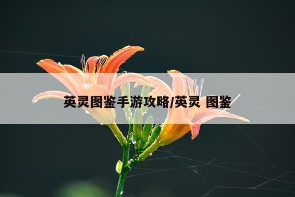 英灵图鉴手游攻略/英灵 图鉴