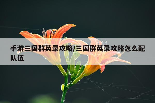 手游三国群英录攻略/三国群英录攻略怎么配队伍