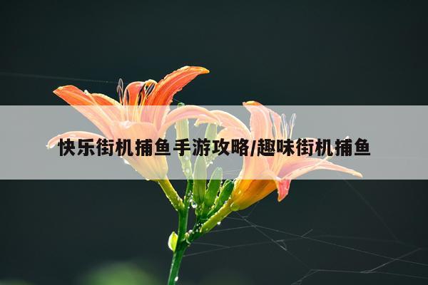 快乐街机捕鱼手游攻略/趣味街机捕鱼