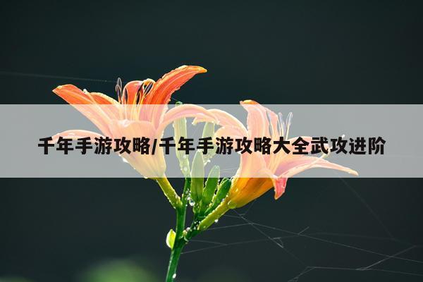 千年手游攻略/千年手游攻略大全武攻进阶