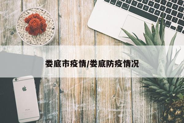 娄底市疫情/娄底防疫情况