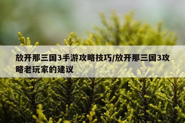 放开那三国3手游攻略技巧/放开那三国3攻略老玩家的建议