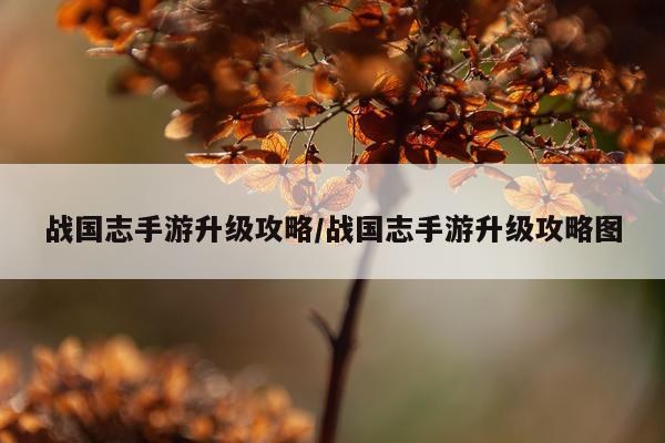 战国志手游升级攻略/战国志手游升级攻略图