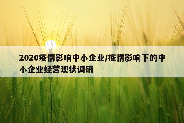 2020疫情影响中小企业/疫情影响下的中小企业经营现状调研