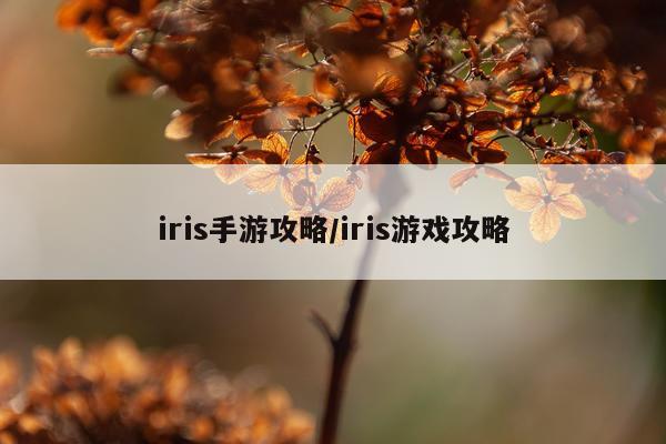 iris手游攻略/iris游戏攻略