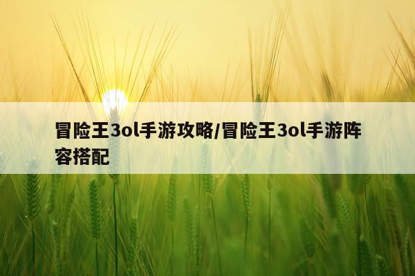冒险王3ol手游攻略/冒险王3ol手游阵容搭配