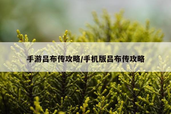 手游吕布传攻略/手机版吕布传攻略