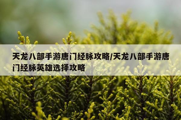 天龙八部手游唐门经脉攻略/天龙八部手游唐门经脉英雄选择攻略