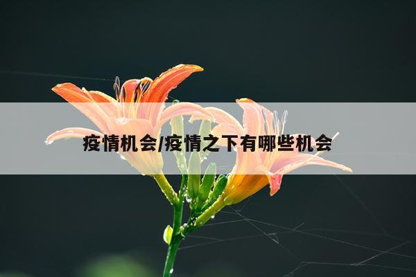 疫情机会/疫情之下有哪些机会