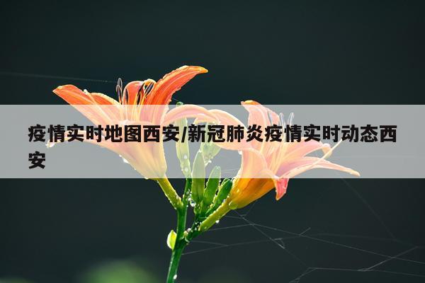 疫情实时地图西安/新冠肺炎疫情实时动态西安